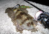 20111204 001