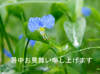 tuyukusa_3