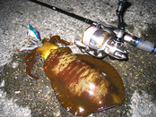 20110130 004