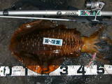 59-1hirata