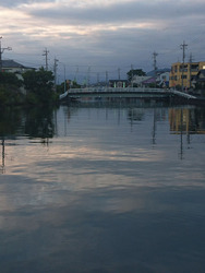 DSC_3096