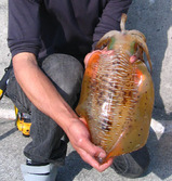 080427KAZ