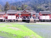 rps20130210_213805