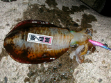 060104hirata-1