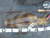 2012052518220000