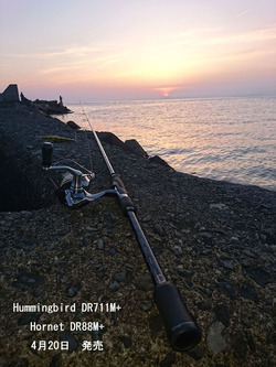 71188imagev2