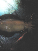 201010261746000