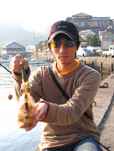 shipei061031