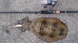 rps20140618_071708