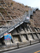 tunami1