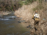 090301shizu