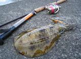 090406DR-20G