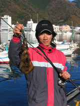 shinpei6