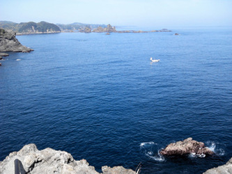 NCM_0182_2