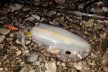 DSC_1690~2