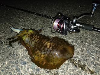 DSC_1144