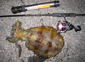 20160116 005_2