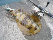 20120416 004