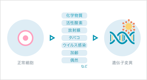がんは遺伝子変異で起こる病気