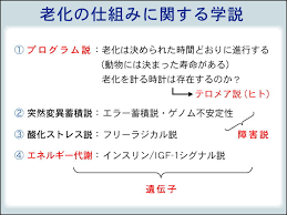 老化の仕組み
