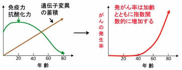癌遺伝子変異の加齢による増加