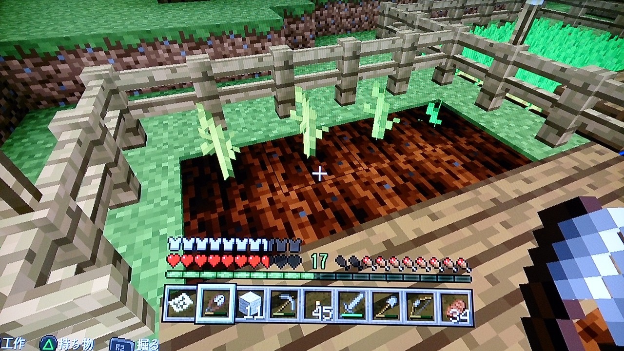 本拠点にスイカ畑とカボチャ畑を作る えぽんのマイクラ開拓日記 本拠点にスイカ畑とカボチャ畑を作る えぽんのマイクラ開拓日記