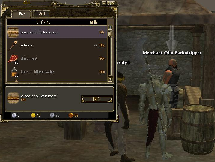 エバークエスト2(EverquestⅡ)日本語版【初心者ガイド】家でできること～アイテムを販売しよう！