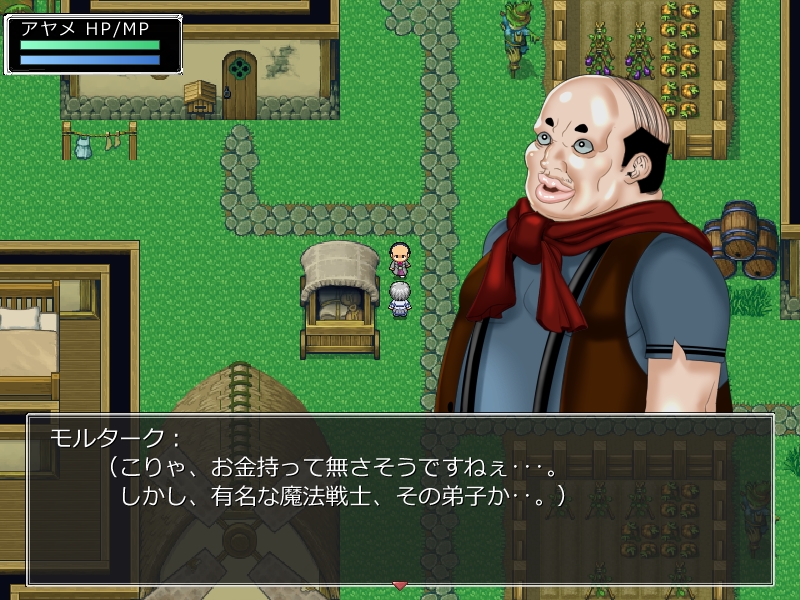 アヤメの冒険記 師匠の本を求めて 暇だからゲームでもするか