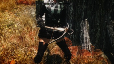 skyrim045