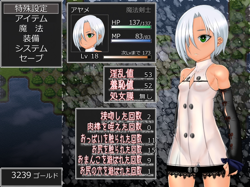 アヤメの冒険記 師匠の本を求めて 暇だからゲームでもするか