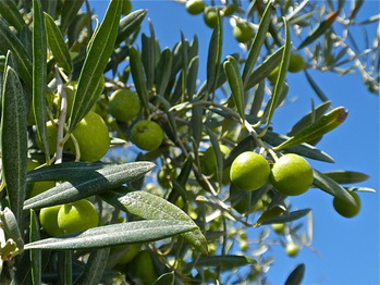 P9122309