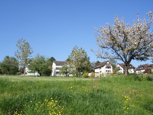 P4288655