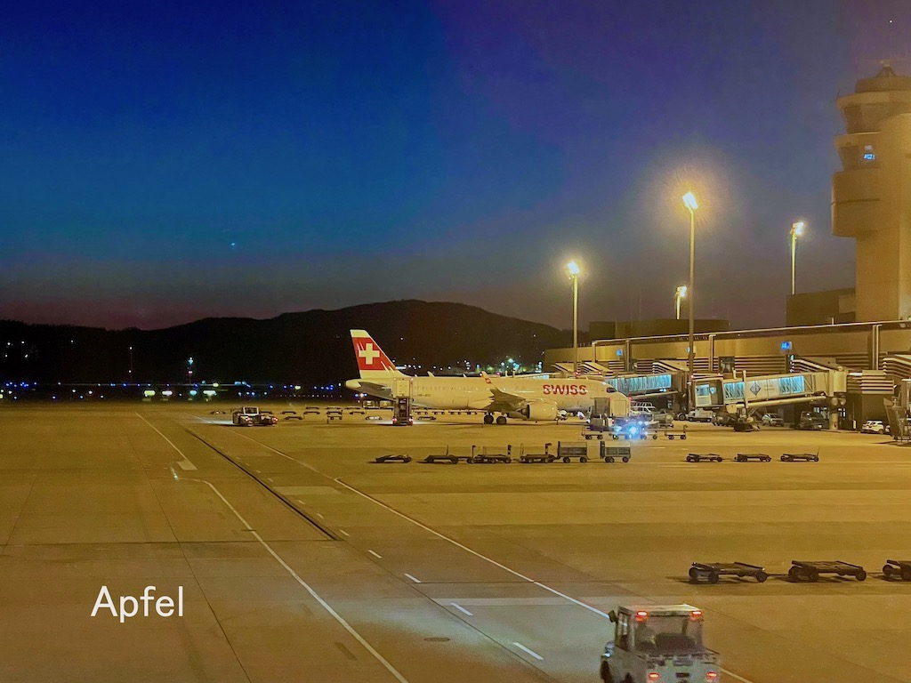 チューリッヒ空港 日本一時帰国 21年秋 スイスの街角から