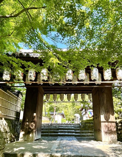 CD941AF1-A852-4D94-B507-8FE4B8B69C48