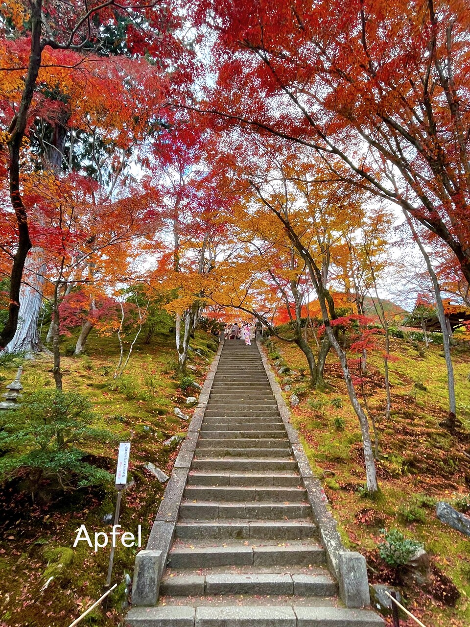 風景画「紅葉の常寂光寺Ⅱ」油彩画 F10 京都・嵯峨野 張りキャンバス・額なし 風景画「紅葉の常寂光寺Ⅱ」油彩画 F10 京都・嵯峨野 張り