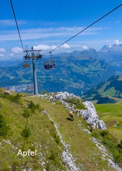 スクリーンショット 2025-08-08 22.45.42