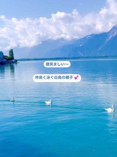 スクリーンショット 2024-07-12 18.22.56