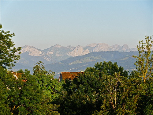 P7080423