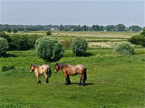 P6269880