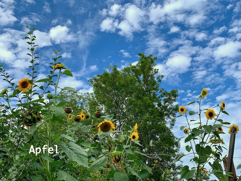 夏の終わり 秋の気配 スイスの街角から