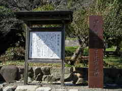 PB034135