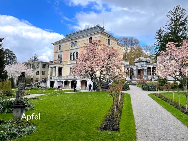 IMG_4320