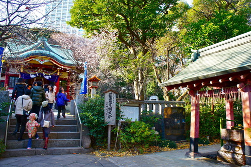 DSC01137