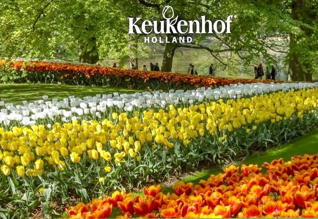 スクリーンショット 2019-03-10 21.24.41