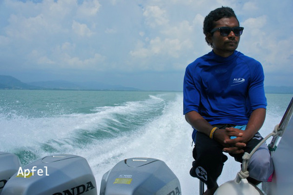 BlogPaint