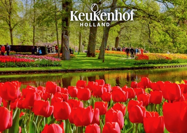 スクリーンショット 2019-03-10 21.24.28