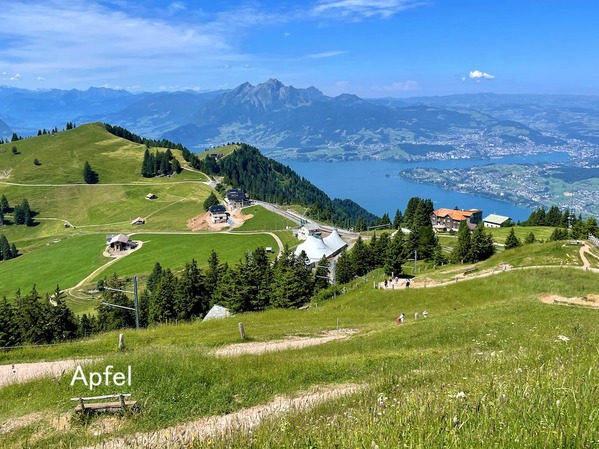 楽しかった〜！ひとりハイキング🇨🇭