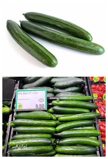 kFotoJet