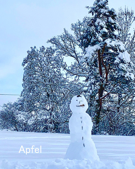 303D374E-3BFD-4C83-B293-867BC649AE59