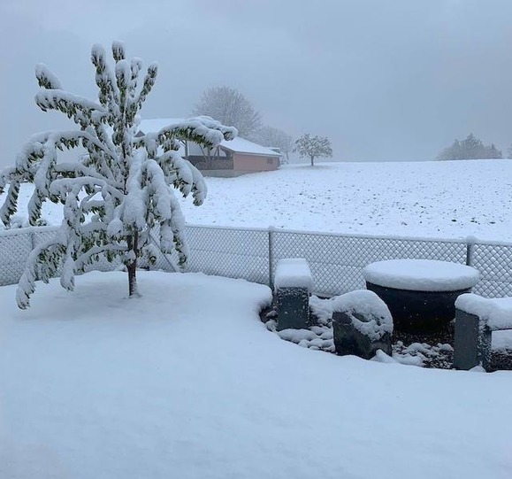 B9103C14BF7EF7D92ACF76760C7D116C